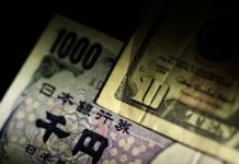 Dollar steady as focus turns to US payrolls, yen intervention jitters persist