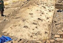 Kenyan footprints shed light on prehistoric human cousin Paranthropus
