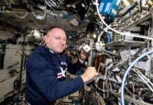 Space station bioprinting experiment advances quest for lab-grown tissues, company says
