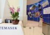 Temasek aims to more than double AI investment portfolio share to as much as 15% by 2031