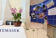 Temasek aims to more than double AI investment portfolio share to as much as 15% by 2031
