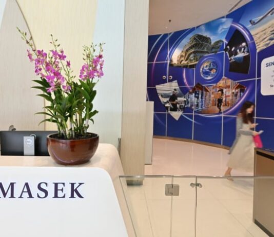 Temasek aims to more than double AI investment portfolio share to as much as 15% by 2031
