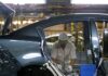 Thailand approves $210 million Mazda-Ford AutoAlliance investment