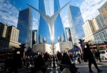 Hedge funds upped short AI bets in July, Hazeltree says