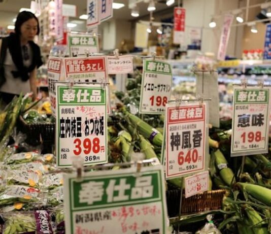 Japan June household spending falls on weather, Iran conflict clouds outlook