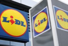 Lidl owner to invest up to €5.6 billion by 2033 in data centre in northern Germany