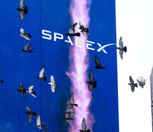 SpaceX stock climbs as shares available for trading more than double