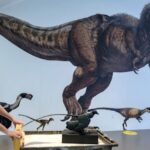 Why were there no tiny dinosaurs? You might blame the mammals