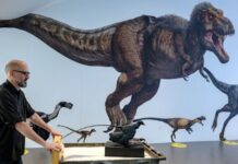 Why were there no tiny dinosaurs? You might blame the mammals