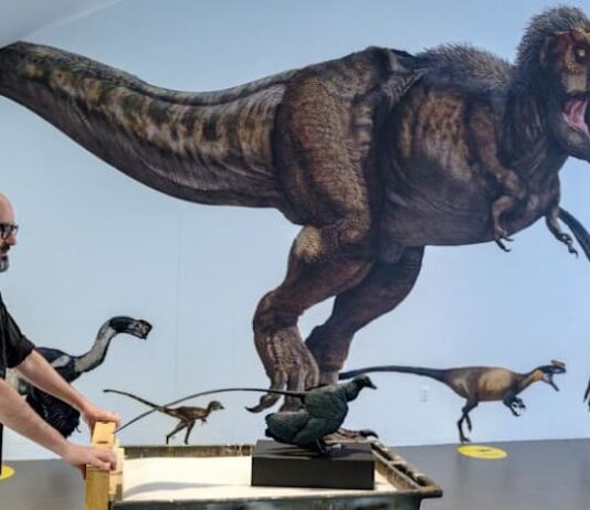 Why were there no tiny dinosaurs? You might blame the mammals