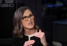 Ark’s Wood says global AI leaders’ pledge is positive for technology development