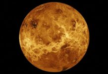Astrophysics study suggests Venus may have swallowed its moon