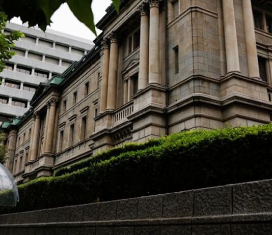 BOJ rate hike signals faster pace of tightening amid inflation risks, weak yen: Economists