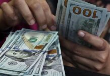 Dollar jumps to near two-month high on Fed outlook, oil climb
