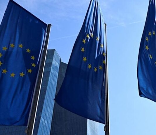 ECB, EU central banks suggest dropping stablecoin deposits rule