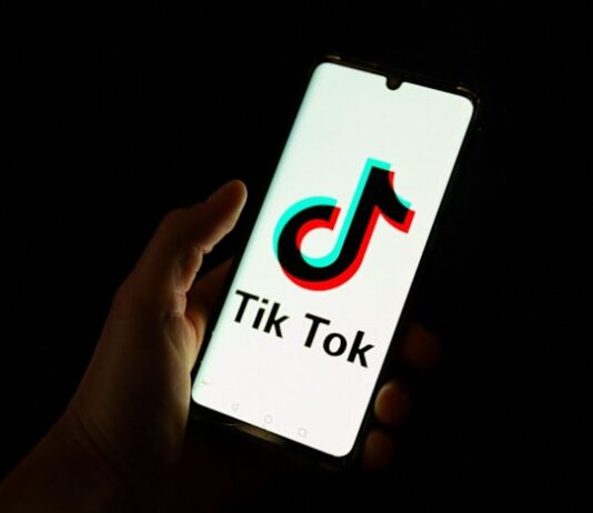 Japan court rules human voice is protected in TikTok AI case