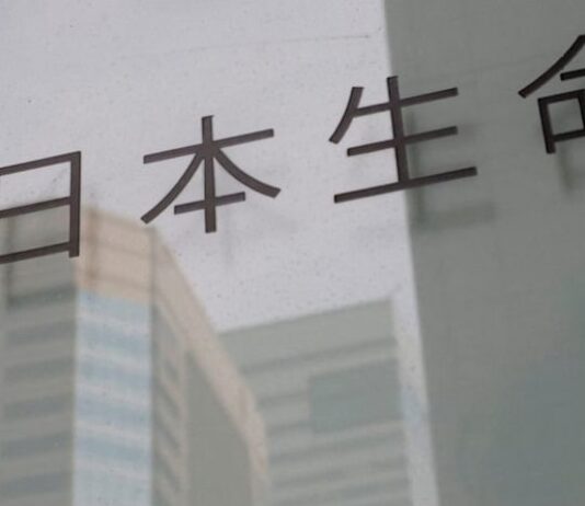 Japan’s Nippon Life plans $13 billion for data center financing in US, Nikkei Asia reports