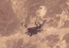 Oil prices rise as Saudi pipeline outage, fresh attacks raise supply concerns