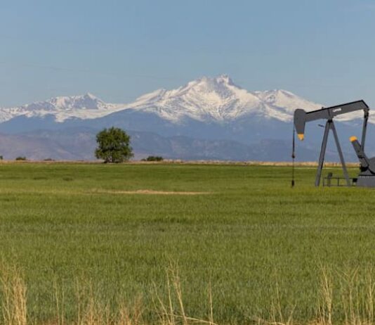 Oil slips as Saudi Arabia offers more crude via Oman