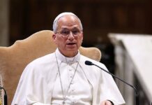 Pope Leo calls for AI systems that don’t foster divisions