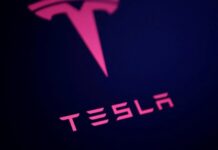 Tesla sets up Vietnam unit, registration filing shows