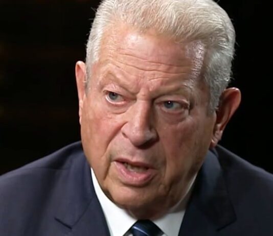 ‘We need to stop using the sky as an open sewer’: Former US Vice-President Al Gore on unprecedented climate danger