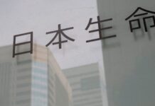 Analysis:Japanese insurers are poised to bring money back home – gradually