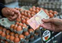 Euro falls, set for fifth straight weekly drop as oil prices rise