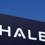 Fight AI with AI, Thales CEO tells cybersecurity gathering