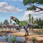 Isle of Wight fossil sheds light on enigmatic meat-eating dinosaurs