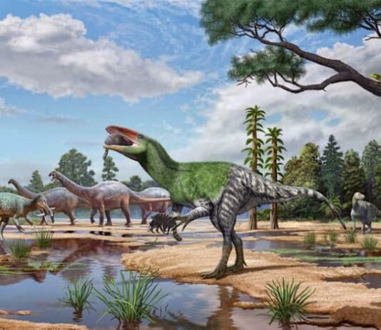 Isle of Wight fossil sheds light on enigmatic meat-eating dinosaurs