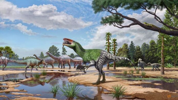 Isle of Wight fossil sheds light on enigmatic meat-eating dinosaurs