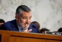 US Senate report says spending on consultants for internet subsidy program tops $200 million annually