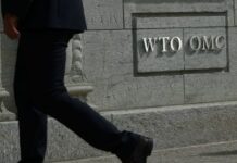 WTO lifts global trade outlook as AI boom powers Asian growth